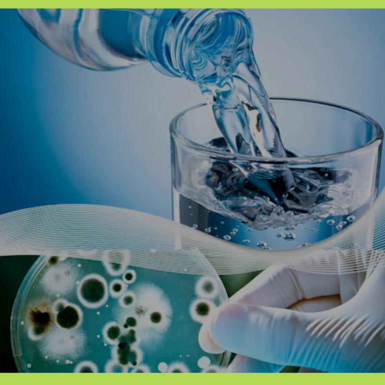 Curso: CALIDAD DEL AGUA POTABLE. Análisis de Laboratorio y Legislación