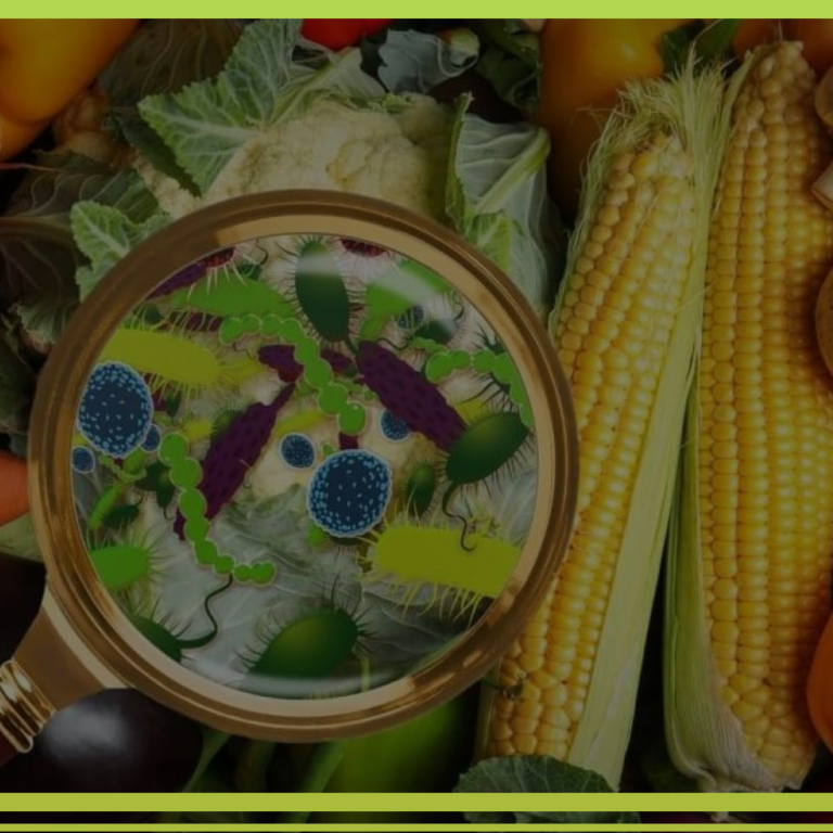 Curso: ENFERMEDADES TRANSMITIDAS POR LOS ALIMENTOS (ETAs)