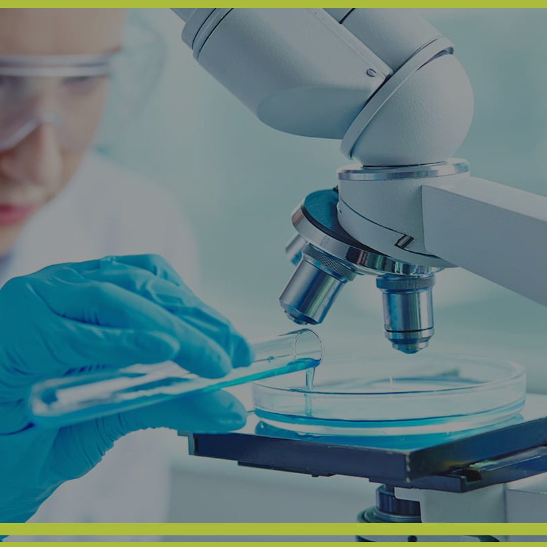 Curso: Guía Práctica de MICROBIOLOGÍA DE AGUAS