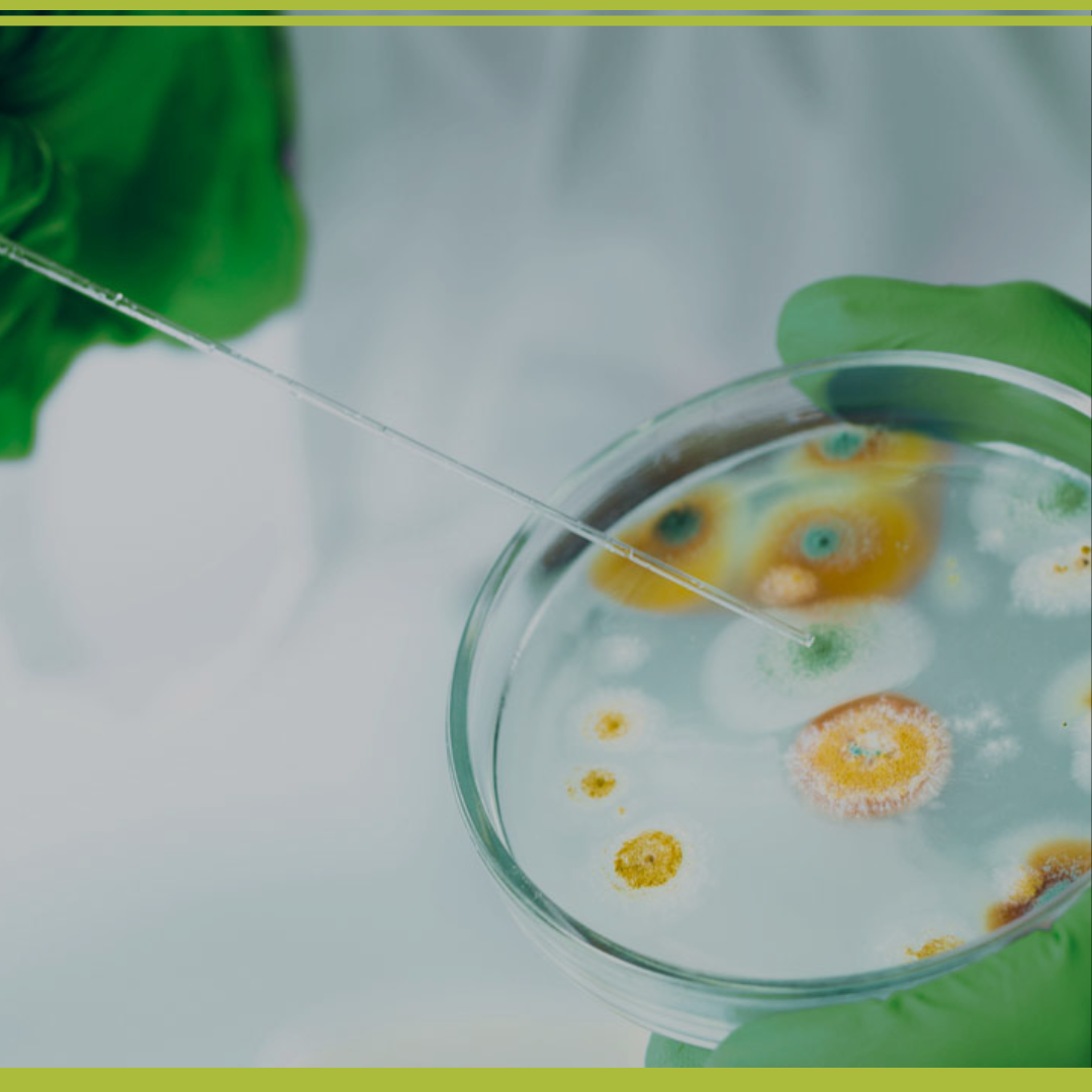 Curso: SISTEMA DE MONITOREO AMBIENTAL EN LA INDUSTRIA ALIMENTICIA