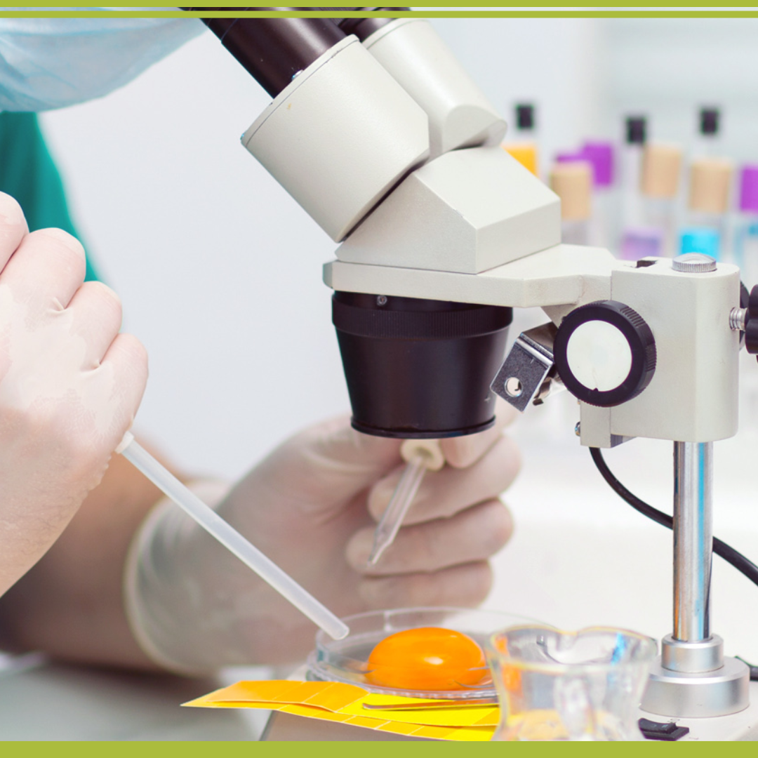 Curso: LA VIDA ÚTIL DE LOS ALIMENTOS