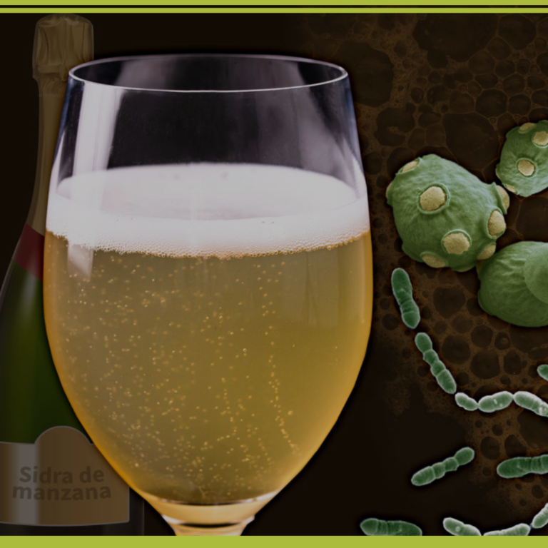 Curso: MICROBIOLOGÍA EN BEBIDAS FERMENTADAS