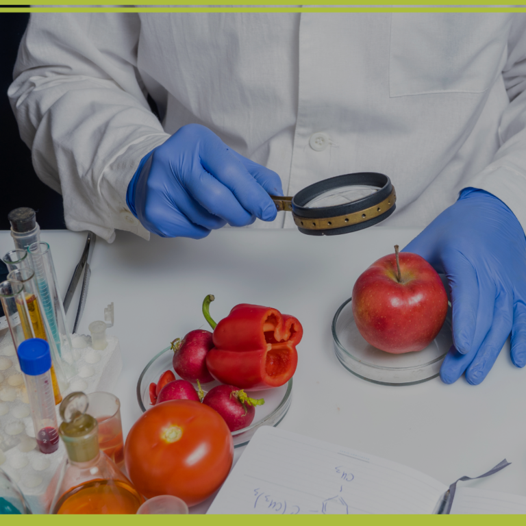 Diplomatura: SEGURIDAD ALIMENTARIA