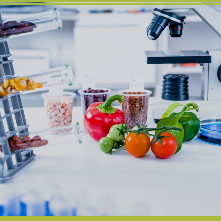 Diplomatura: MICROBIOLOGÍA ALIMENTARIA